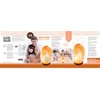 Salt Skill Himalayan Salt Lamp