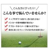 Takumi Wedge TEAM TOHO Wedge 46° ns-ci110 Steel