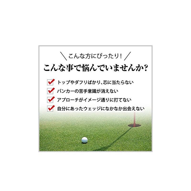 Takumi Wedge TEAM TOHO Wedge 46° ns-ci110 Steel