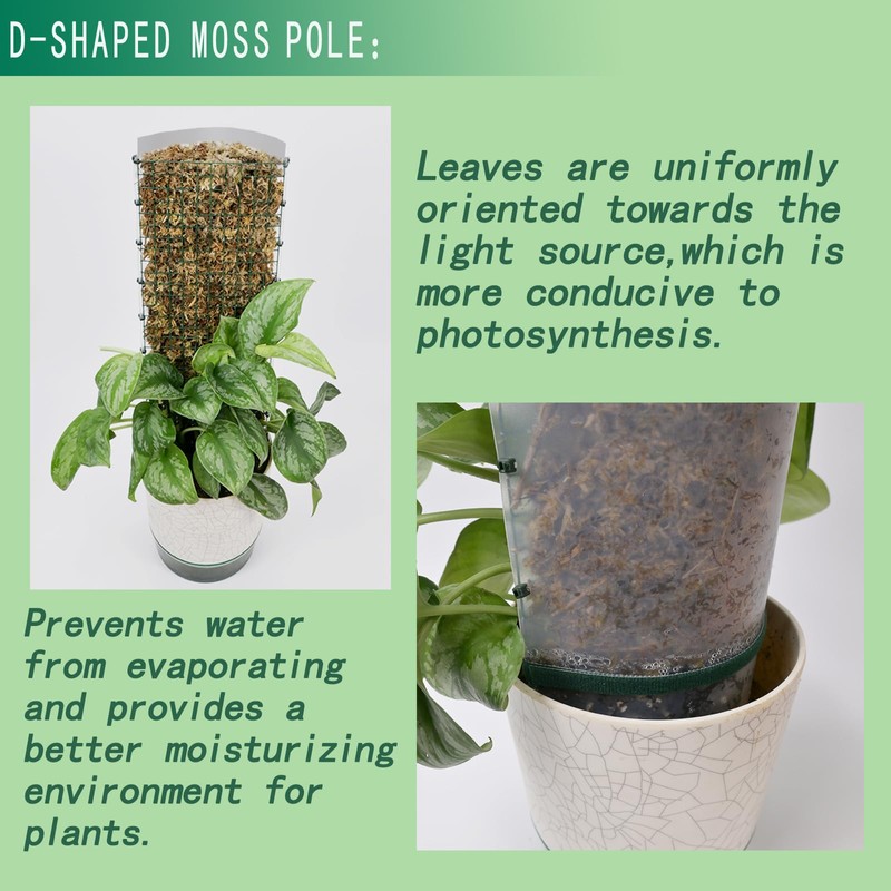 Metal Moss Poles for Climbing Plants, D-Shape Sphagnum Moss Pole