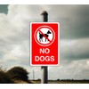Safety First Display LTD No dogs sign - 1.2mm Rigid