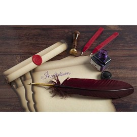 Herbin 427B - Pack of 5 sheets of printed parchment paper A4