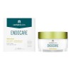 Gelcream Endocare Básica