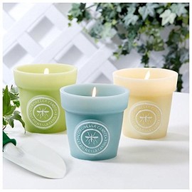Two's Company Flower Pot Citronella Candle, Set of 3