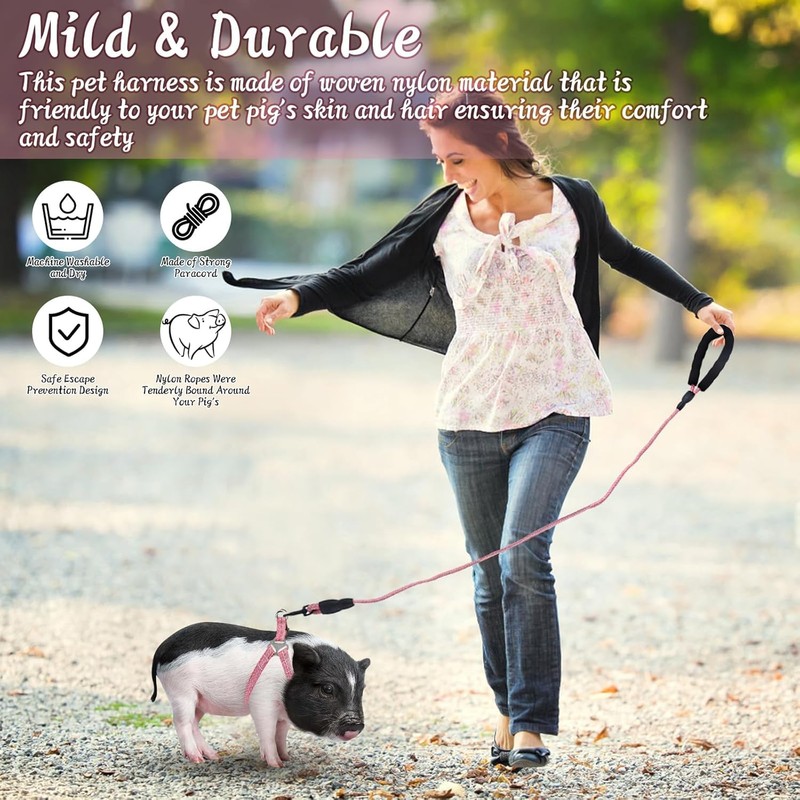 Mini Pig Harness, Adjustable Small Pig Harness with Leash Infinity