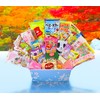 Sakura Box Japanese Candy & Snacks 40 Piece Dagashi Set