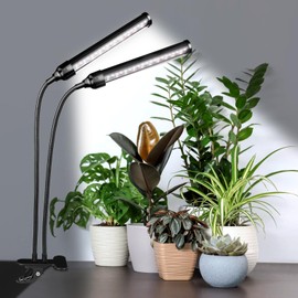 SENCHIKER 24V LED Plant Lights for Indoor Plants, LM281B+660nm LED Plant Lamp, Novel Plant-Centric Full Spectrum Grow Light, High PPFD Grow Lamp for All Stages of Plant Growth, C20