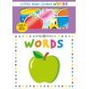 Little Baby Learns: Words
