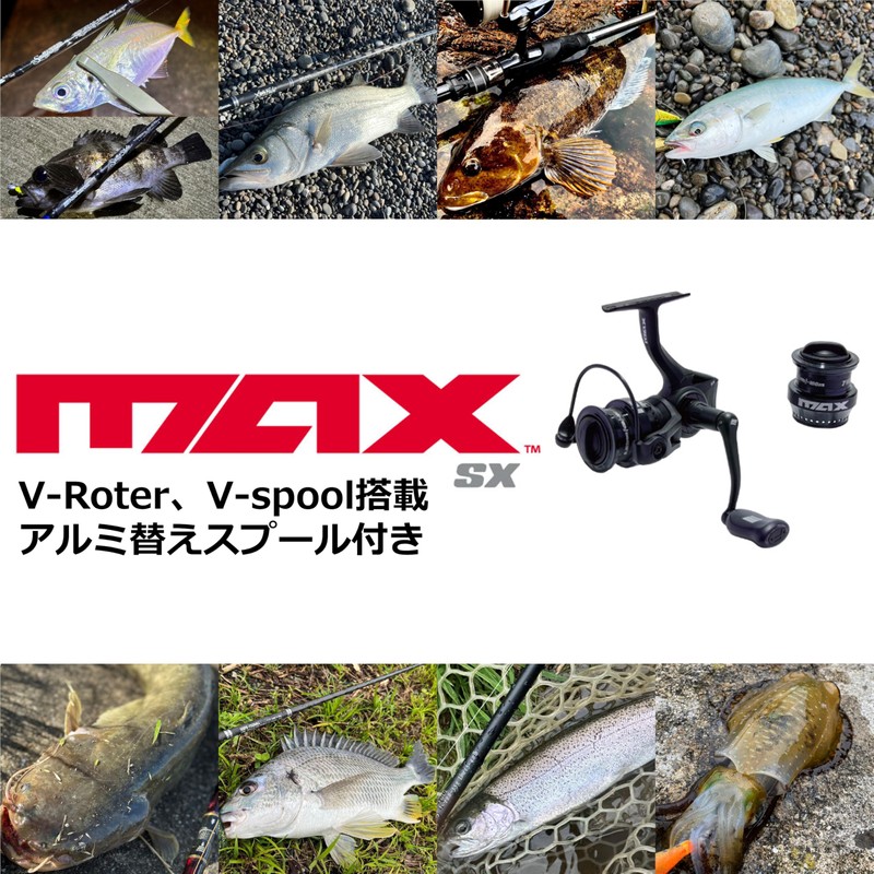 AbuGarcia Max SX 3000H