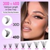 Fluffy Eyelash Extension Kit Thick Cluster Lashes Mink 9-16MM CC