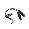 XLR Breakout Audio Input Cable Right Angle 10 pin to
