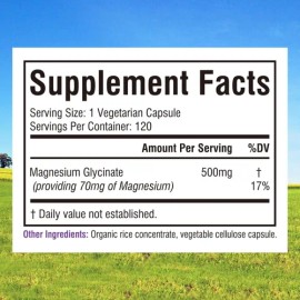 Innate Vitality Glicinato De Magnesio 500 Mg 120 Capsulas