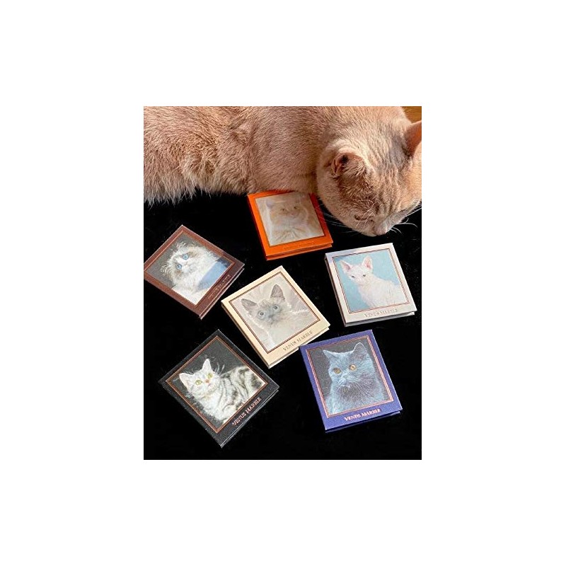 Venus Marble Eyeshadow Cat Series (Brown Tiger Cat) 1pc (x1)