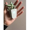 Gift Republic GR450067 Magnetic Planters, Grey, 5 x 16.5 x