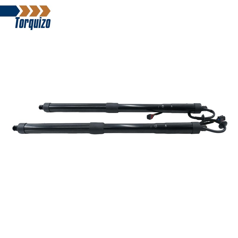 Torquizo 817702W600 Rear Left Right Tailgate Power Lift Support 2PCS