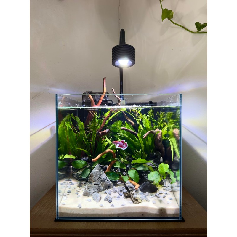 Lominie LED Aquarium Light Full Spectrum 25W Aquarium Plant Light