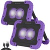 Neonic Rechargeable UV LED Black Light, Newer Model, 2 Pack
