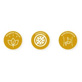 Cúrcuma Orgánica y Saludable Golden Milk 120g