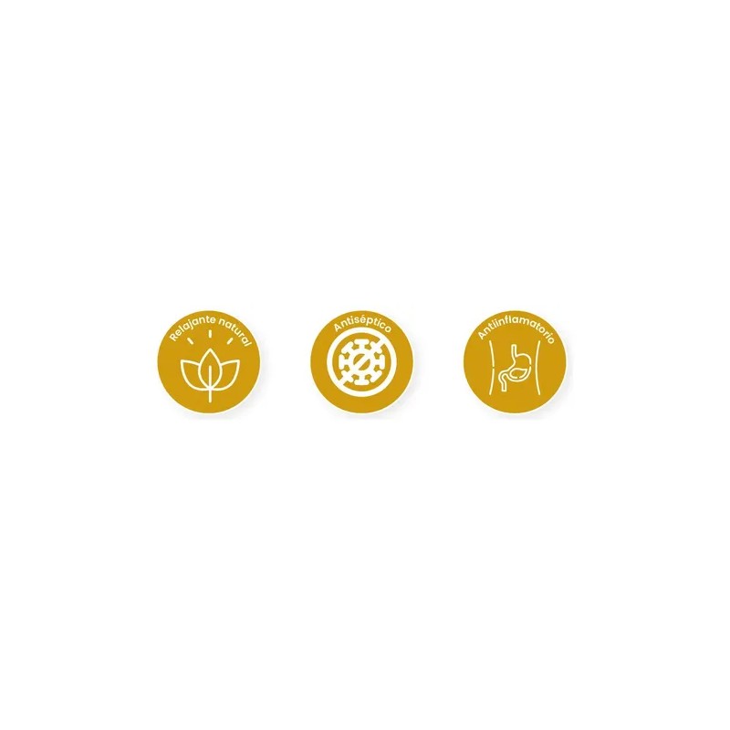 Cúrcuma Orgánica y Saludable Golden Milk 120g