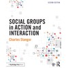 Social Groups in Action and Interaction: 2nd Edition