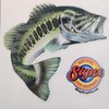 Largemouth Bass v2 Custom Illustrated Vinyl Decal Fish Sticker -Two
