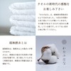 Super No-Twist Towel, Watanahana No.2, Made in Japan, Imabari Towel,