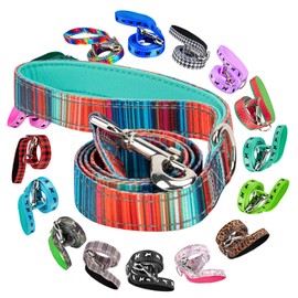 EcoBark Dog Leash - Soft & Reflective Comfort Leash with Padded Handle - Safe, Strong, & Durable for Small, Medium or Large Dogs (Multicolor Stripe)