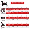 WINSEE Pet Harness Collar and Leash Set, All-in-one Reflective Dog