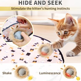 Interactive Cat Toys Ball Fast Rolling in Pouch,Motion Activate Chirping Cat Toy,Sensory Delight Hide and Seek Mouse Catching Game Cat Ball Toy,Multi-Mode Fun Toys for Indoor Cats