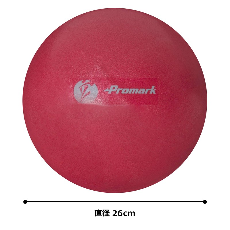 サクライ(SAKURAI) プロマーク ジムボール レベル2 立花龍司監修 TPT0282 直径 26cm