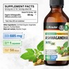 BIO KRAUTER® Ashwagandha Supplements - Liquid Drops Pure Vegan Ashwagandha