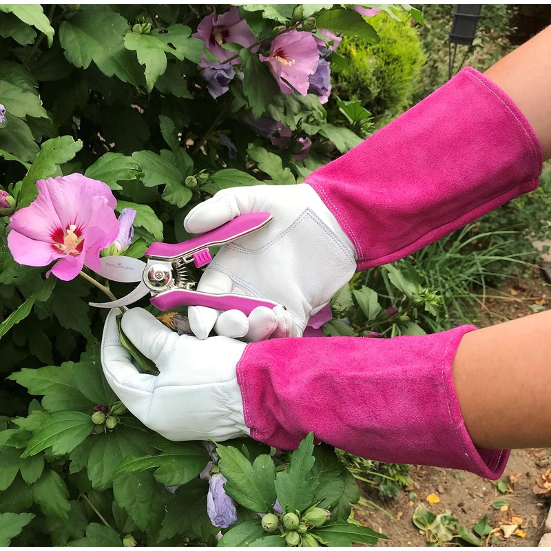Ladies Gardening Mini Pruner Secateurs Set - Two Razor Sharp