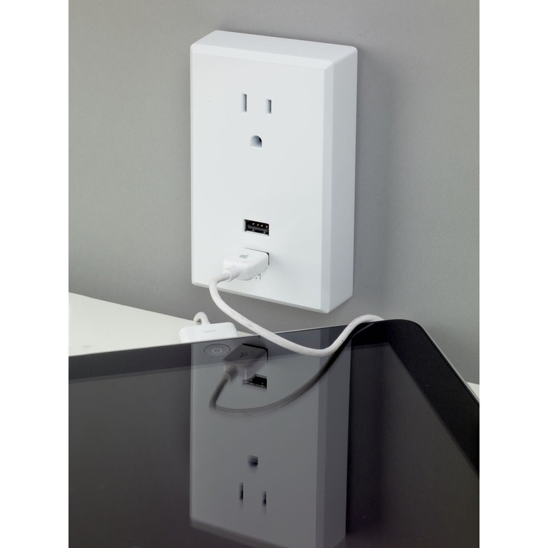 RCA WP2UWR USB Wall Plate