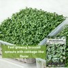 Sow Right Seeds - Broccoli Microgreen Seed for Growing -