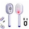 Electric Spray Air Cushion Massage Comb, Self-Clean Hair Detangler Brush