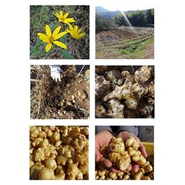 Eveway(エヴァウェイ) イヌリンのちから 菊芋の粒 180粒