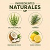 Shampoo Secreto Herbal con Extractos Naturales de Romero y Cola