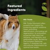 Rooted Owl Rooted Owl Liver Support for Dogs - Natural