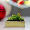WGVI Long Rectangle Ceramic Planter Vase in Gold Etched 14"