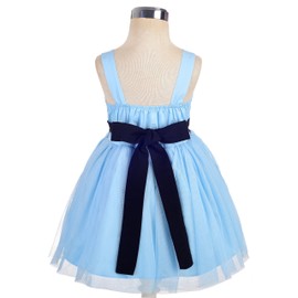 Lito Angels Alice in Wonderland Princess Fancy Tulle Dress Costume with White Apron for Kids Girls Age 4-5 Years, Blue (Tag Number 120)