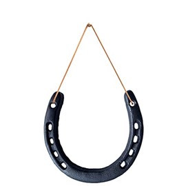 Fight Club Lucky Horseshoe Wall Art for Good Luck, Home Decor, Housewarming Gift, Wedding Gift