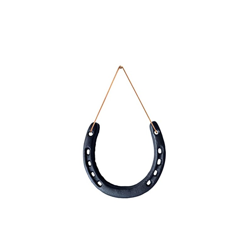 Fight Club Lucky Horseshoe Wall Art for Good Luck, Home