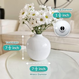 Willowy 7.5 Inch Large White Ceramic Vase with Glossy Finish - Large White Vases for Flowers, White Vases for Decor, White Flower Vase, White Round Vase, White Vase for Pampas Grass