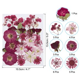 PATIKIL Dried Pressed Flowers, Natural Dried Flower Leave Assorted Real Pressed Flowers for DIY Art Crafts Resin Mold Scrapbooking, Red Series