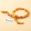 Amber Collar for Dogs and Cats - 100% Natural Baltic