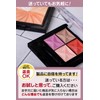 Bumbee Eye Shadow Tips, Disposable [100 Pieces/2.6 inches (6.5 cm)]