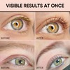 Libeauty Brow & Lash Colouring Set for 8 Weeks for
