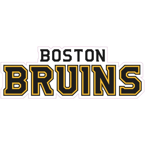 (NOT A PATCH) Boston Bruins Hockey HTV Heat Transfer Vinyl