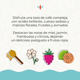 1968 - Café 1968 Etiopia en Grano 340g | Explosión de sabores | Notas de miel, jazmín, frambuesa y cítricos | Café cultivado en Etiopia y tostado en México | Tueste Medio