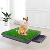 Sardoxx 2pcs Pet Potty Training Pee Artificial Grass Rug Pad